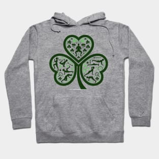 Fitness Lucky Charms T-Shirt Hoodie